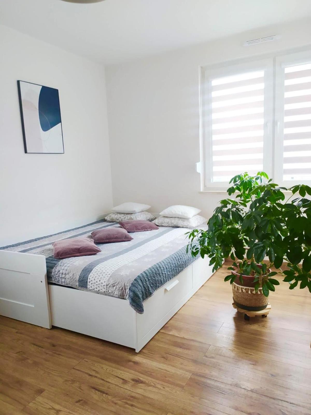 Apartament Lagiewniki Kraków Eksteriør billede
