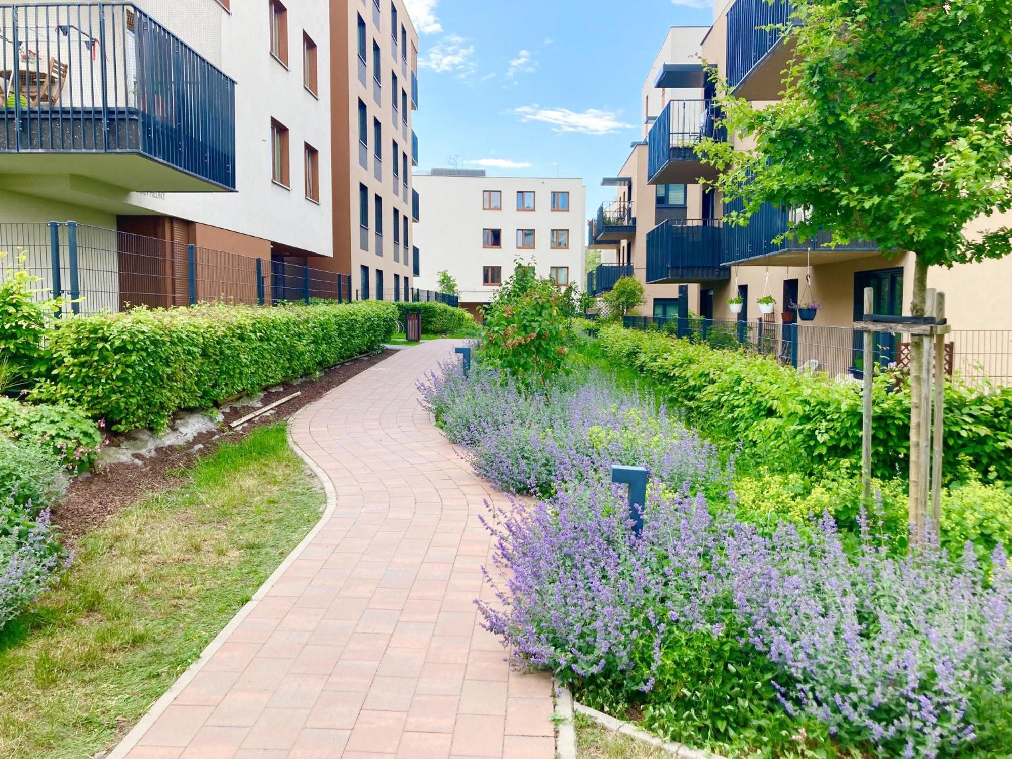Apartament Lagiewniki Kraków Eksteriør billede